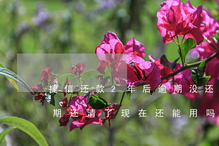 捷信还款2年后逾期没还(捷信3年前有过逾期还清了,现在还能用吗)