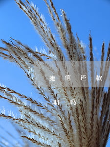捷信还款晚几天算逾期(捷信还款晚几天算逾期吗)