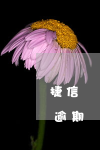 捷信連續(xù)逾期-捷信連續(xù)逾期