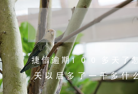 捷信逾期100多天了怎么辦-捷信逾期幾天以后多了一千多什么情況
