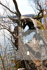 捷信逾期100天收到律師函 捷信逾期給一個(gè)律師事務(wù)所給我發(fā)了律師函