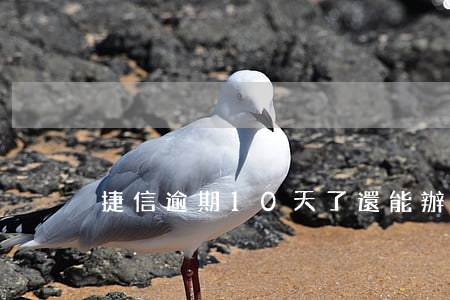 捷信逾期10天了還能辦分期嗎-