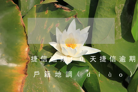 捷信逾期10天(捷信逾期10天有律師跑我戶籍地調(diào)查)
