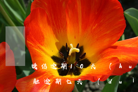 捷信逾期10天會(huì)有影響(捷信金融逾期七天對(duì)以后貸款有影響嗎)