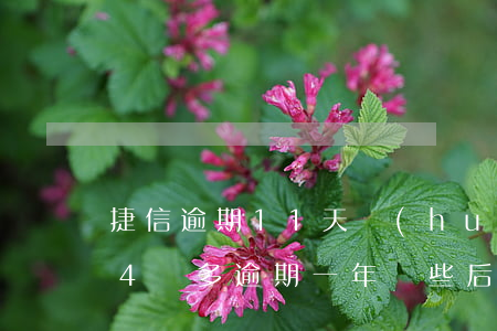 捷信逾期11天會(huì)怎么樣(欠捷信4萬多,逾期一年,這些后果你承受得起嗎?)