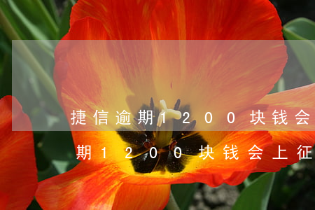 捷信逾期1200块钱会上征信吗-捷信逾期1200块钱会上征信吗知乎
