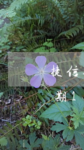捷信逾期140多天還不上怎么辦-捷信逾期140多天還不上怎么辦呢
