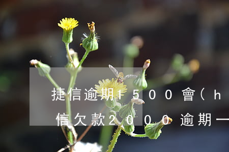 捷信逾期1500會(huì)被起訴嗎(捷信欠款2000逾期一年有沒(méi)有被起訴的)