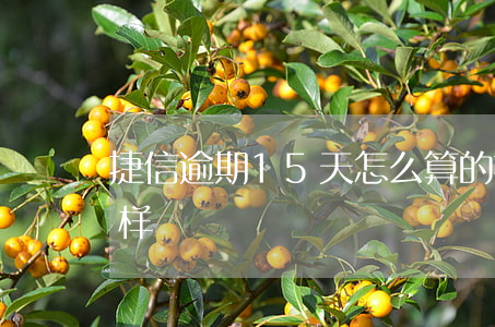 捷信逾期15天怎么算的(捷信息逾期会怎么样)