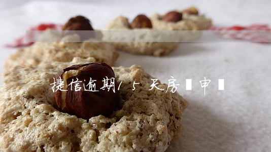 捷信逾期15天房貸申請