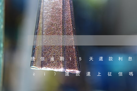 捷信逾期15天還款利息(捷信十五天內(nèi)還款還上征信嗎)