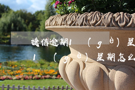 捷信逾期1個(gè)星期怎么辦 捷信逾期1個(gè)星期怎么辦理