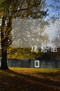 捷信逾期1個(gè)會(huì)上征信嗎