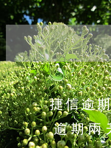 捷信逾期1個(gè)月上征信嘛(捷信金融逾期兩天對(duì)征信有沒(méi)有影響)