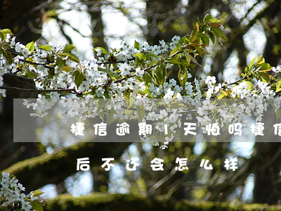 捷信逾期1天怕吗(捷信已经逾期1个月了以后不还会怎么样)