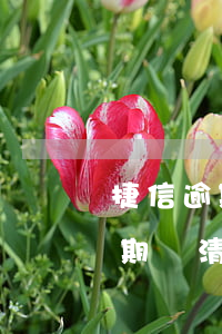 捷信逾期1年后面還清了(捷信3年前有過逾期還清了,現(xiàn)在還能用嗎)