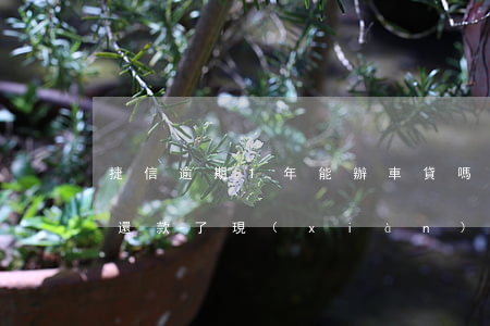 捷信逾期1年能辦車貸嗎(捷信逾期兩年以上還款了,現(xiàn)在想貸款買車,能辦的下來么)