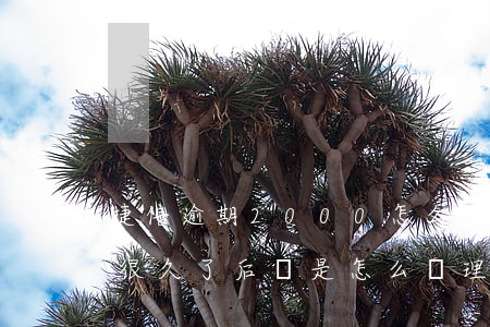 捷信逾期2000怎么辦-有沒有捷信逾期很久了,后來是怎么處理的