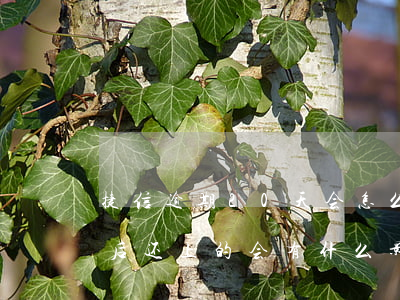 捷信逾期20天会怎么样-捷信逾期20天后还上的,会有什么影响吗