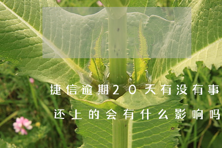 捷信逾期20天有没有事(捷信逾期一个小时还上的,会有什么影响吗)