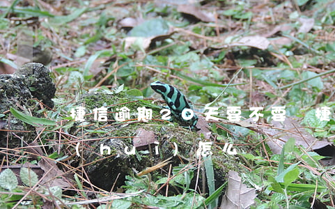 捷信逾期20天要不要緊(捷信拖了20天會(huì)怎么樣)