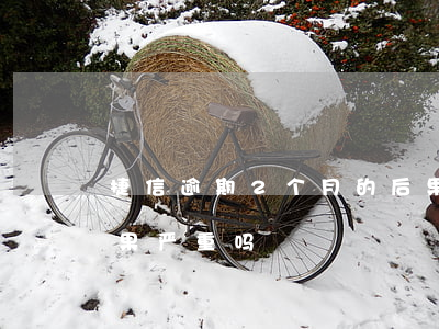 捷信逾期2个月的后果(捷信逾期2个月的后果严重吗)