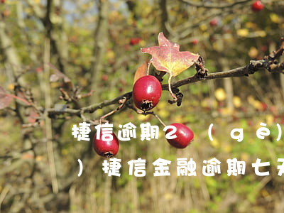 捷信逾期2個(gè)月帶了7萬(wàn)(捷信金融逾期七天對(duì)以后貸款有影響嗎)