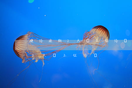 捷信逾期2天會上征信嗎會坐牢嗎（捷信逾期2天會上征信嗎）