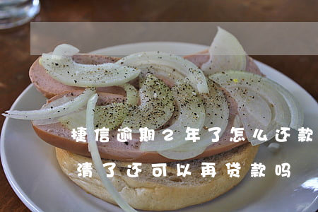 捷信逾期2年了怎么还款(捷信逾期两个月还清了还可以再贷款吗)