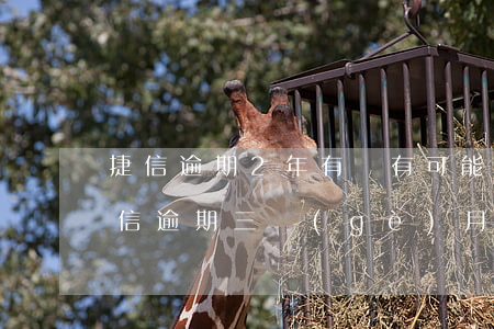 捷信逾期2年,有沒有可能起訴成功的可能（捷信逾期三個(gè)月被起訴立案）
