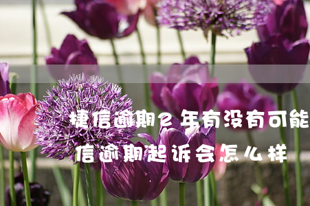捷信逾期2年,有没有可能起诉成功的可能（捷信逾期起诉会怎么样）