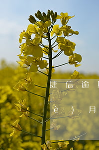 捷信逾期2次還款還不上(捷信逾期兩個(gè)月還清了還可以再貸款嗎)