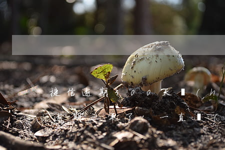 捷信逾期300天會(huì)起訴嗎(捷信逾期三年了!一直沒(méi)起訴怎么回事)