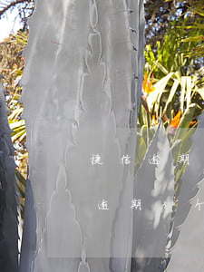 捷信逾期3个月了,可以申请延期还款吗（捷信逾期3个月后不能协商还款吗）