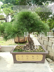 捷信逾期3個月會怎樣(捷信逾期3個月會影響我現有的信用卡嗎?)