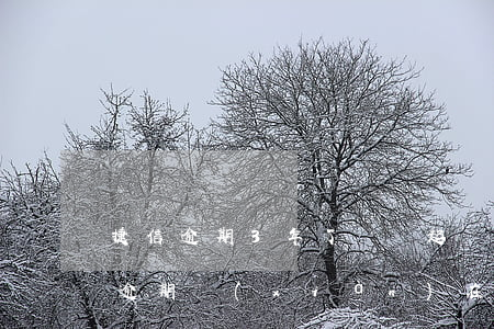 捷信逾期3年了還會起訴嗎(捷信三年前有過逾期 現(xiàn)在還能借嗎)