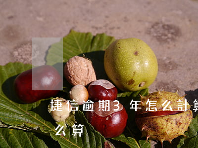 捷信逾期3年怎么計算器(捷信一次性還款怎么算)