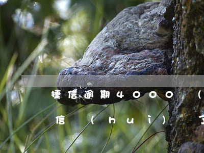 捷信逾期4000會(huì)被起訴嗎(捷信會(huì)為了4000塊起訴嗎)