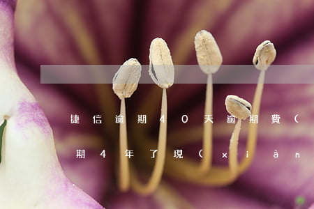 捷信逾期40天逾期費(fèi)用(捷信逾期4年了現(xiàn)在開始追賬我該還多少)
