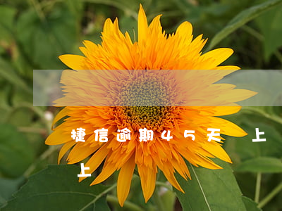 捷信逾期45天會上門嗎(捷信逾期45天會上門嗎)