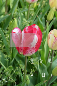 捷信逾期48天會(huì)怎么樣(欠捷信4萬(wàn)多,逾期一年,這些后果你承受得起嗎?)