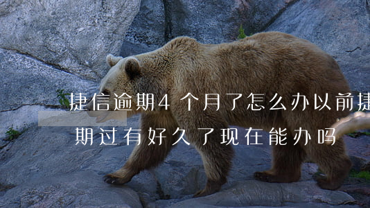 捷信逾期4个月了怎么办(以前捷信有几天逾期过有好久了现在能办吗)
