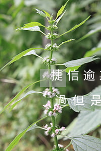 捷信逾期4個(gè)月可以買房(捷信逾期過,但是還完了還能貸款買房嗎)