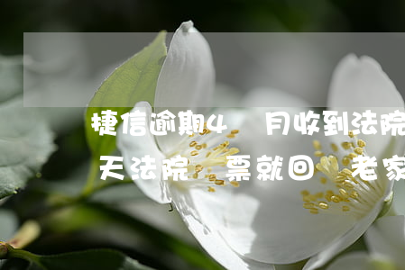 捷信逾期4個月收到法院傳票(捷信逾期12天法院傳票就回來老家什么意思)