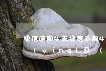 捷信逾期4天(捷信逾期4天會不會打電話給應(yīng)急聯(lián)系人)
