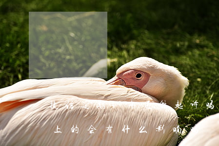 捷信逾期4年还能起诉吗(捷信逾期四天后还上的,会有什么影响吗)