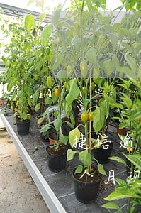 捷信逾期5个月合同终止(我在捷信逾期了三个月现在要立案真的嘛)