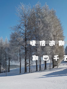 捷信逾期5個(gè)月告我怎么辦 捷信逾期四千五,二百多天了要起訴我怎么辦