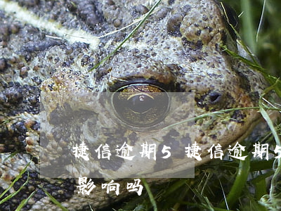 捷信逾期5，捷信逾期5天后还上的，会有什么影响吗