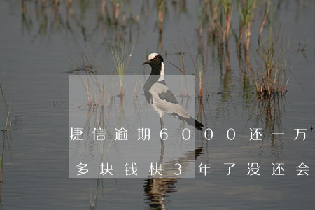 捷信逾期6000还一万(欠捷信20000多块钱快3年了没还,会怎么样了)